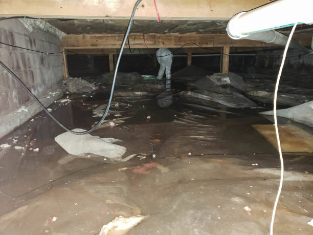 Trusted Water Damage Restoration in Francis, UT | Fast, Reliable, and Ready to Assist You